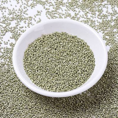 MIYUKI Delica Beads SEED-X0054-DB1181-1