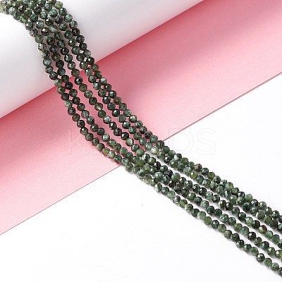 Natural Seraphinite Beads Strands LS-G-A021-07B-1
