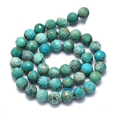 Natural HuBei Turquoise Beads Strands G-G106-C12-08-1