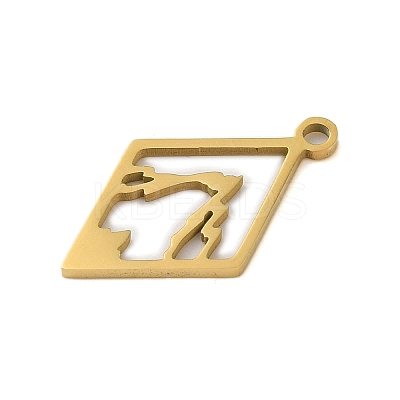 304 Stainless Steel Pendants LS-STAS-S123-01G-02-1