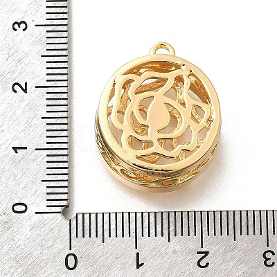 Brass Pendants KK-E792-06G-1