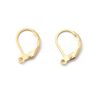 Brass Leverback Earring Findings KK-F824-007G-1-1