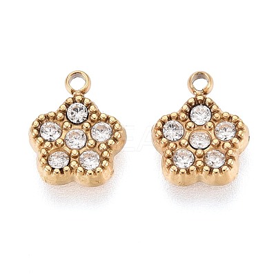 304 Stainless Steel Micro Pave Cubic Zirconia Charms STAS-N115-48G-1
