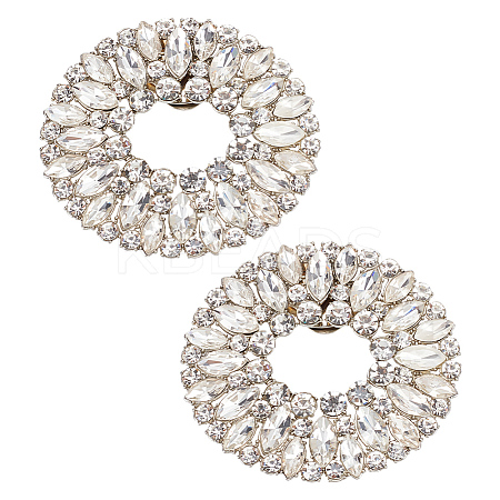 Alloy Crystal Rhinestone Shoe Decoration DIY-FG0003-73-1