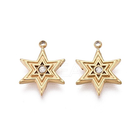 304 Stainless Steel Micro Pave Cubic Zirconia Charms STAS-N115-53G-1