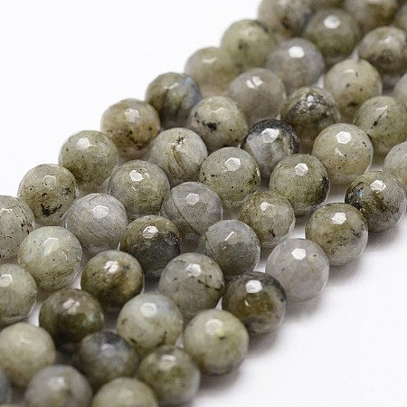 Natural Labradorite Beads Strands G-G736-04-8mm-1