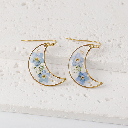 Moon 304 Stainless Steel Dangle Earrings WG43EF9-04-1