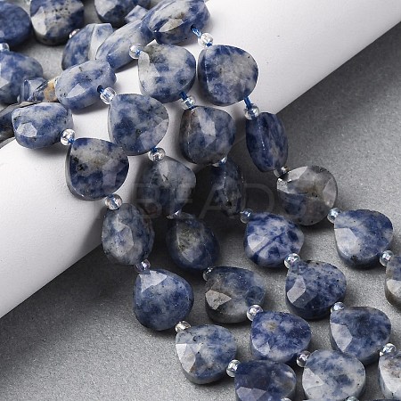 Natural Blue Spot Jasper Beads Strands G-P570-E19-02-1