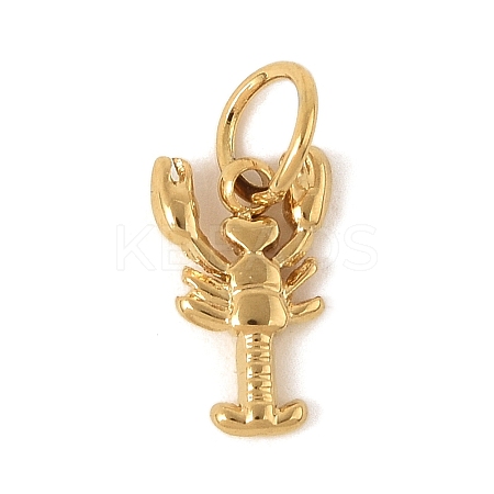 304 Stainless Steel Charms LS-STAS-V013-02A-G-1