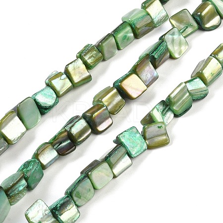 Dyed Natural Freshwater Shell Beads Strands SHEL-P016-01I-1