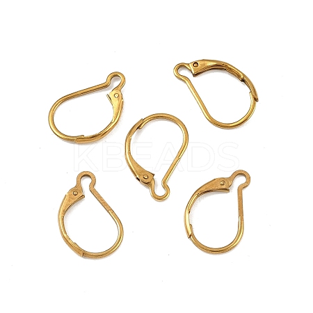 Ion Plating(IP) 304 Stainless Steel Leverback Earring Findings LS-STAS-K233-04G-01A-1
