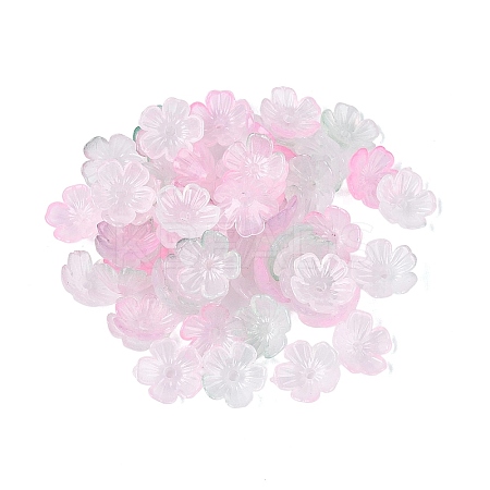 Transparent Plastic Bead Caps KY-Q005-02A-11-1