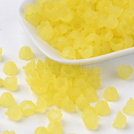 Transparent Acrylic Beads Caps LS-X-PL543-2-1