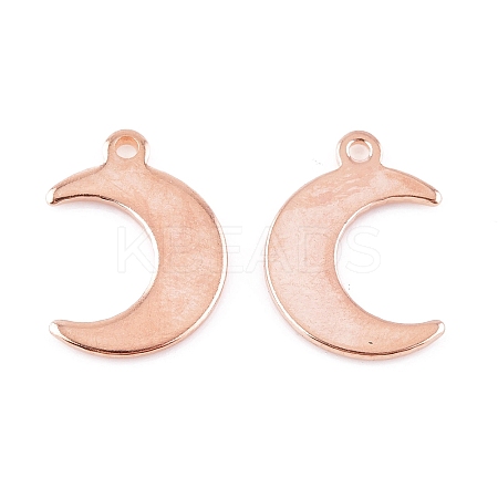 304 Stainless Steel Charms LS-STAS-H557-31RG-1