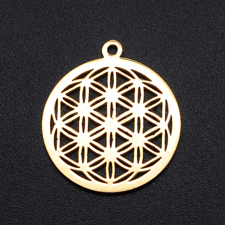 304 Stainless Steel Sacred Geometry Pendants LS-STAS-S105-JN899-2-1