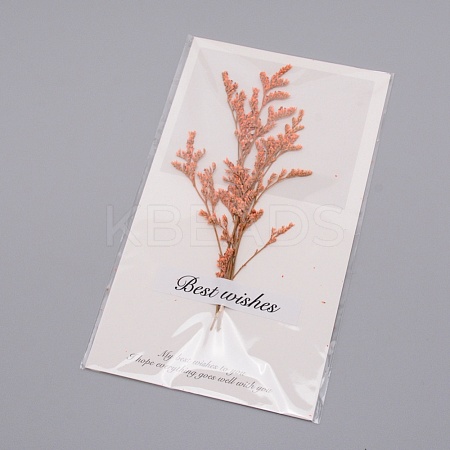 Paper Cards DIY-WH0183-41A-1
