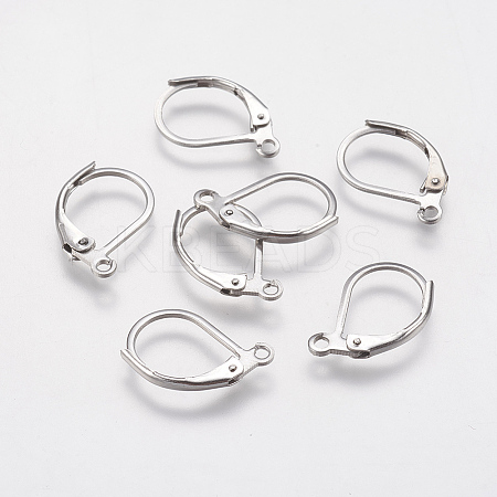 Tarnish Resistant 304 Stainless Steel Leverback Earring Findings LS-STAS-F141-03P-1
