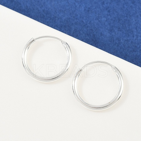 Brass Hoop Earrings EJEW-F378-02S-1