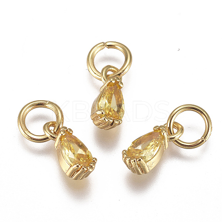 Brass Micro Pave Cubic Zirconia Charms ZIRC-F111-04G-01-1