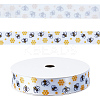 Polyester Ribbon OCOR-CY0004-19B-1