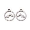 Non-Tarnish 201 Stainless Steel Charms STAS-G281-01P-02-1