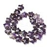 Natural Amethyst Beads Strands G-L657-A08-01-3