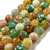 Faceted Natural Fire Crackle Agate Beads Strands G-F447-12mm-M01-2