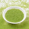 MIYUKI Round Rocailles Beads SEED-G007-RR0143-2