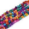 Natural Freshwater Shell Beads Strands SHEL-N038-06B-1