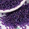 MIYUKI Round Rocailles Beads SEED-X0055-RR0352-1