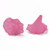Transparent Acrylic Beads X-BSF796-C16-2