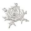 304 Stainless Steel Pendants STAS-D127-19A-P-1