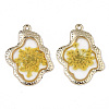 Epoxy Resin Pendants X-RESI-T045-028F-2