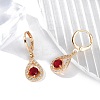 Brass Micro Pave Cubic Zirconia Leverback Earrings EJEW-K300-04G-1