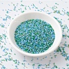 MIYUKI Delica Beads SEED-JP0008-DB2067-2
