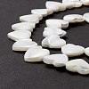 Natural Trochid Shell/Trochus Shell Beads SSHEL-O001-27C-3