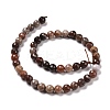 Natural Petrified Wood Beads Strands G-E571-27B-3