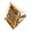 Orgonite Pyramid Resin Energy Generators DJEW-C019-01E-2