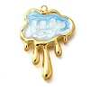 304 Stainless Steel Enamel Pendants LS-STAS-Q347-04G-1
