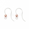Transparent Resin Earring Hooks LS-RESI-G050-01RG-1