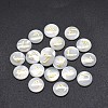 Shell Cabochons SSHEL-E568-A07-2