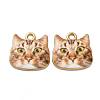 Alloy Enamel Pendants ENAM-V002-04G-01-1