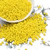 8/0 Glass Seed Beads X2-SEED-A010-3mm-42-1