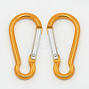 Aluminum Carabiners LS-EA026-09-1