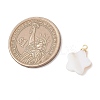 5Pcs 5 Styles Natural Shell Pendants PALLOY-JF04892-2