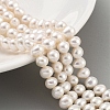Natural Cultured Freshwater Pearl Beads Strands PEAR-C003-12H-X-1