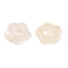 Gradient Color Transparent Acrylic Beads OACR-N137-49P-2