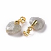 Natural Labradorite Pendants G-C023-07K-3