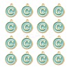 Golden Plated Alloy Enamel Charms ENAM-S118-05C-2