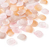 60Pcs Handmade Transparent Lampwork Pendants LAMP-TA0001-28-3